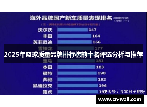 2025年篮球质量品牌排行榜前十名评选分析与推荐