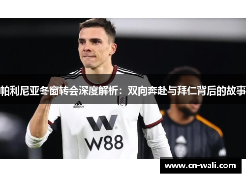 帕利尼亚冬窗转会深度解析：双向奔赴与拜仁背后的故事