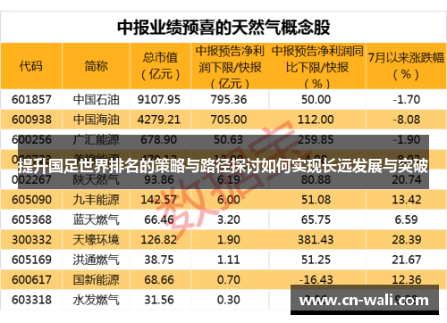 提升国足世界排名的策略与路径探讨如何实现长远发展与突破