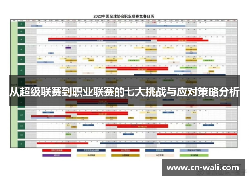 从超级联赛到职业联赛的七大挑战与应对策略分析