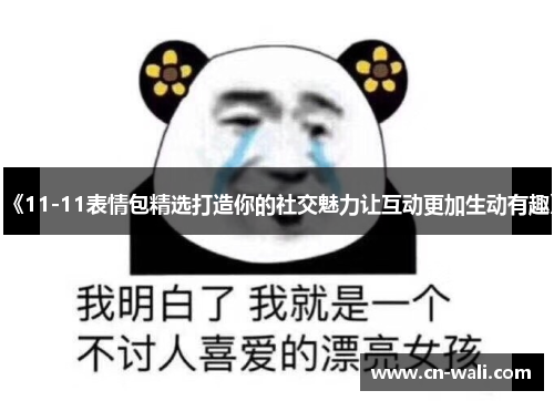 《11-11表情包精选打造你的社交魅力让互动更加生动有趣》