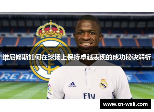 维尼修斯如何在球场上保持卓越表现的成功秘诀解析