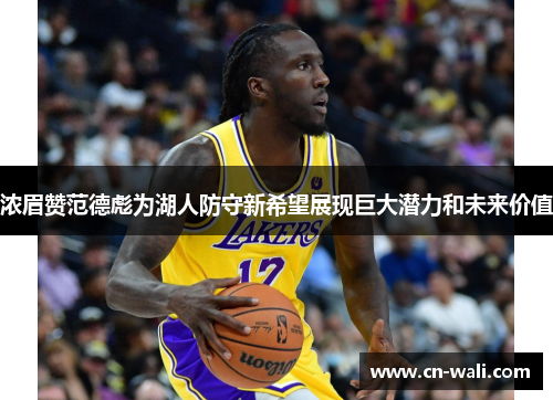 浓眉赞范德彪为湖人防守新希望展现巨大潜力和未来价值