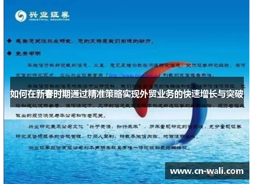 如何在新春时期通过精准策略实现外贸业务的快速增长与突破