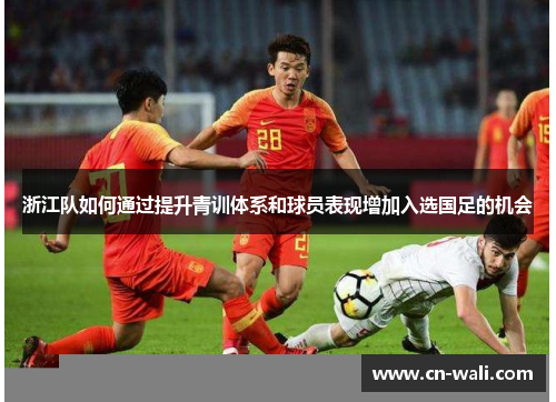浙江队如何通过提升青训体系和球员表现增加入选国足的机会
