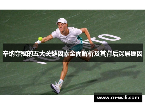 辛纳夺冠的五大关键因素全面解析及其背后深层原因
