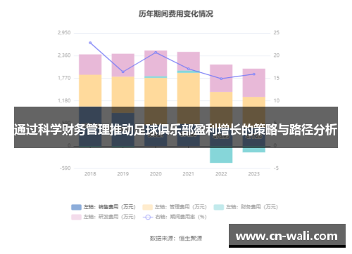 通过科学财务管理推动足球俱乐部盈利增长的策略与路径分析