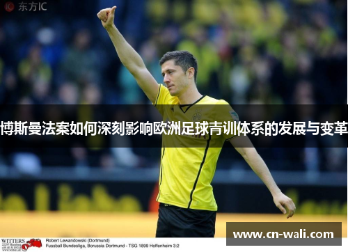 博斯曼法案如何深刻影响欧洲足球青训体系的发展与变革